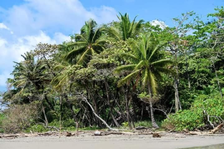 Villas Argan Playa Santa Teresa  エクステリア 写真
