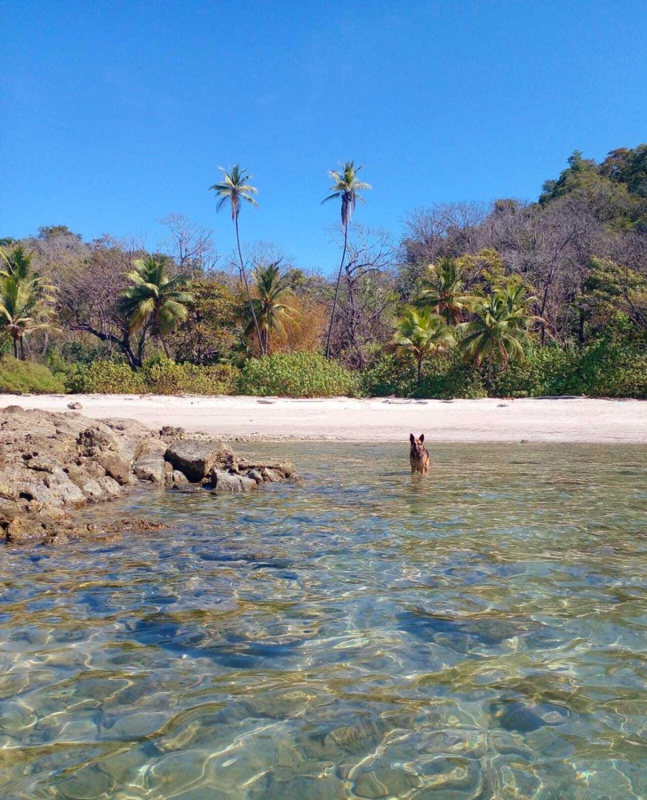 Villas Argan Playa Santa Teresa  エクステリア 写真