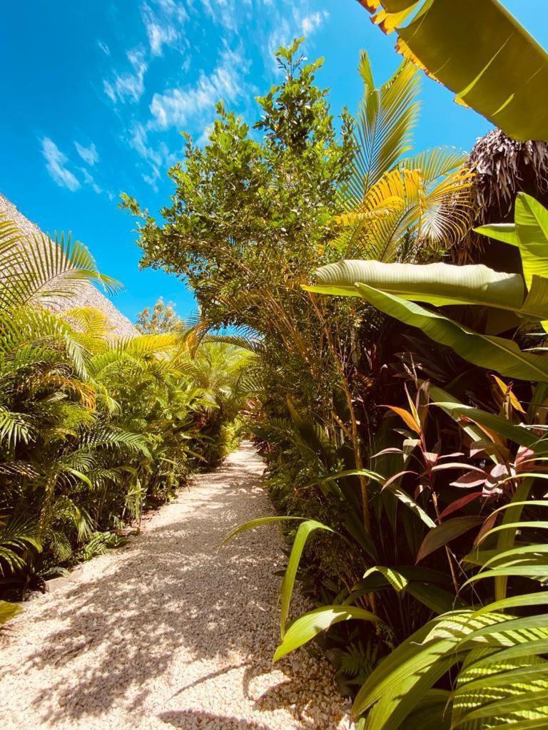 Villas Argan Playa Santa Teresa  エクステリア 写真