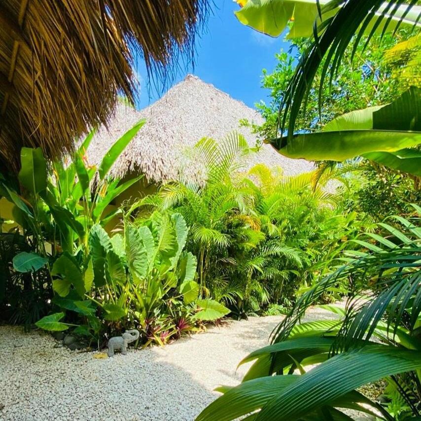 Villas Argan Playa Santa Teresa  エクステリア 写真